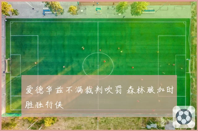 爱德华兹不满裁判吹罚 森林狼加时胜独行侠